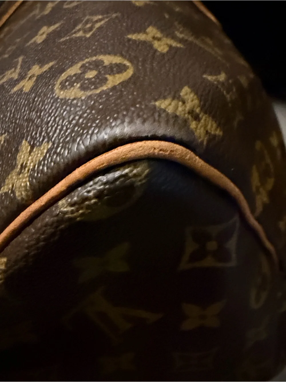 Louis Vuitton iconic louis